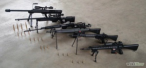 Choose a Sniper Rifle